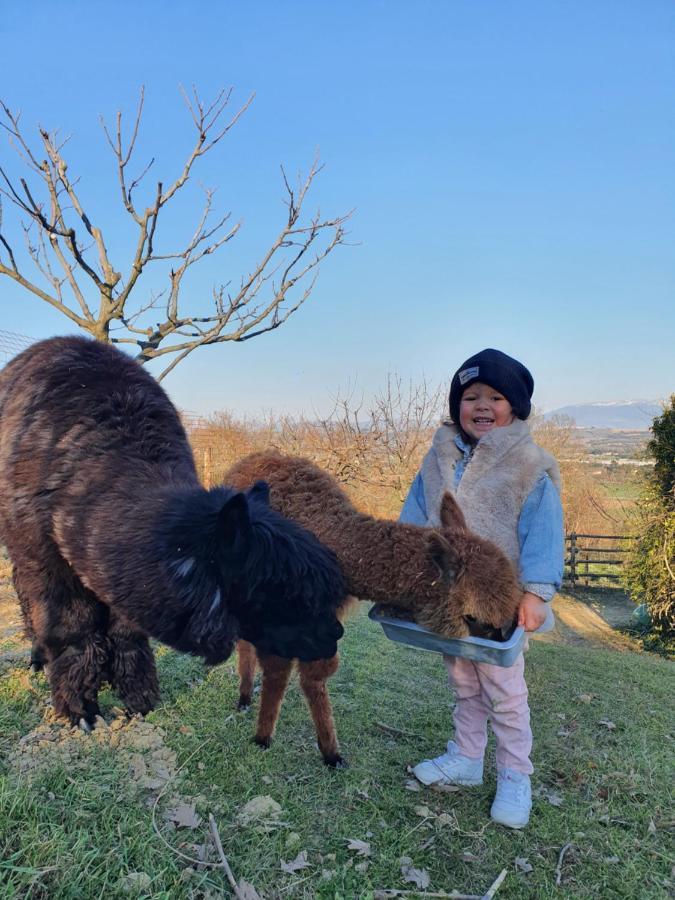 Agriturismo Il Vecchio Mandorlo Βίλα Περούτζια Εξωτερικό φωτογραφία