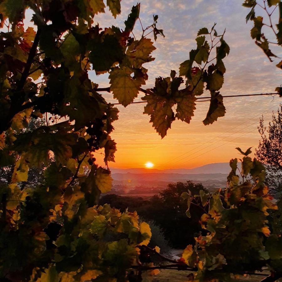 Agriturismo Il Vecchio Mandorlo Βίλα Περούτζια Εξωτερικό φωτογραφία