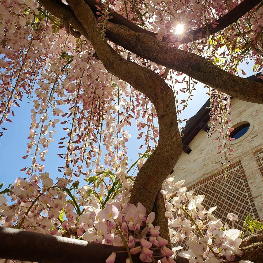 Agriturismo Il Vecchio Mandorlo Βίλα Περούτζια Εξωτερικό φωτογραφία