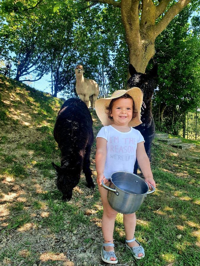 Agriturismo Il Vecchio Mandorlo Βίλα Περούτζια Εξωτερικό φωτογραφία